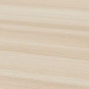 Акация Лэйклэнд светлая