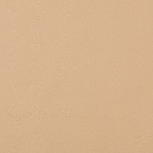 Nitro beige (Экокожа)